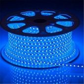 Гибкий неон LED, односторонний, синий, 2-х жильный, 10х18мм, 80LED/м, 220V фото